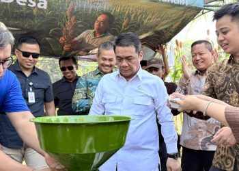 Perkuat Ekonomi Desa Melalui Budidaya Sorgum di Bogor