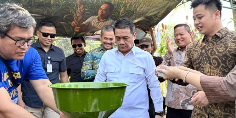 Perkuat Ekonomi Desa Melalui Budidaya Sorgum di Bogor