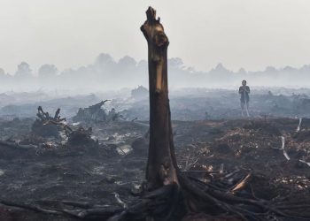 Penanganan Karhutla BMKG dan Peringatan Terkait Cara yang Harus Diperhatikan