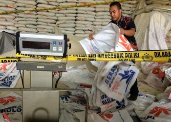 Beras Oplosan Muncul di Solo, Pemerintah Kota Laporkan ke Provinsi