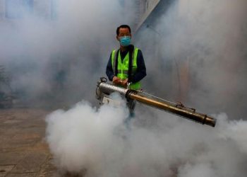 Teror Serangan Nyamuk Ganas, 3000 Orang Tewas di Kota yang Menjadi Kuburan