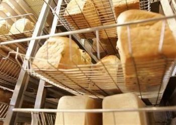10 Jenis Makanan yang Sebaiknya Dihindari oleh Penderita Asam Urat