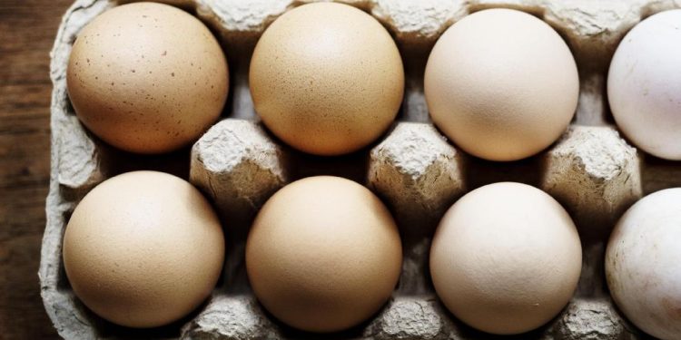 7 Jenis Makanan yang Sebaiknya Tidak Dimakan Bersama Telur, Apa Saja?