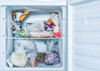 Berapa Lama Ikan Tahan Disimpan di Kulkas Pembekuan?