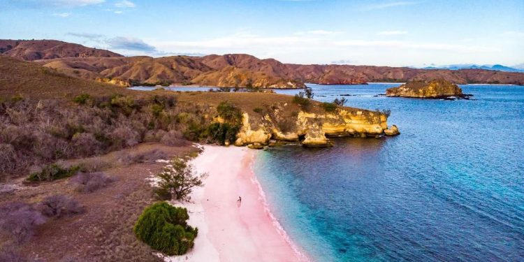Pantai Pink Pulau Komodo Dinobatkan Sebagai Pantai Terindah di Dunia