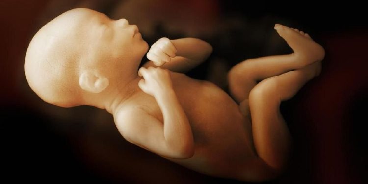 Perusahaan Kembangkan Robot Rahim Buatan untuk Mengandung Janin