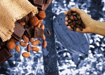 Pecinta Cokelat Harus Siap, Harga Kakao Diprediksi Masih Mahal di 2026