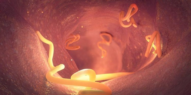 Kasus Cacingan Menurun Menurut Kemenkes, Ingatkan Bahaya Infeksi Berulang