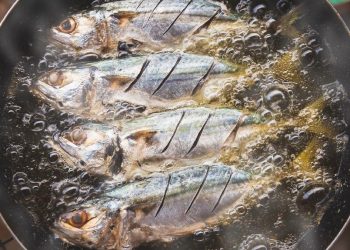 Daftar Makanan yang Meningkatkan Fokus dan Meminimalisir Kinerja Lambat pada Otak
