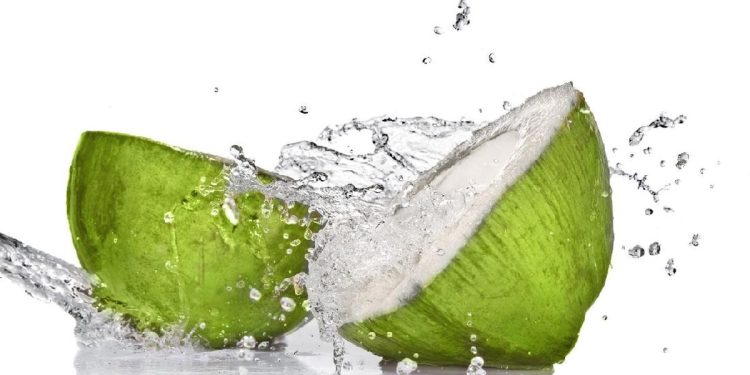 Efek Mengkonsumsi Air Kelapa Setiap Hari dan Hasilnya