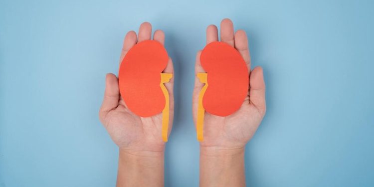 Gejala Gagal Ginjal yang Mirip Maag, Kenali Tanda-tandanya