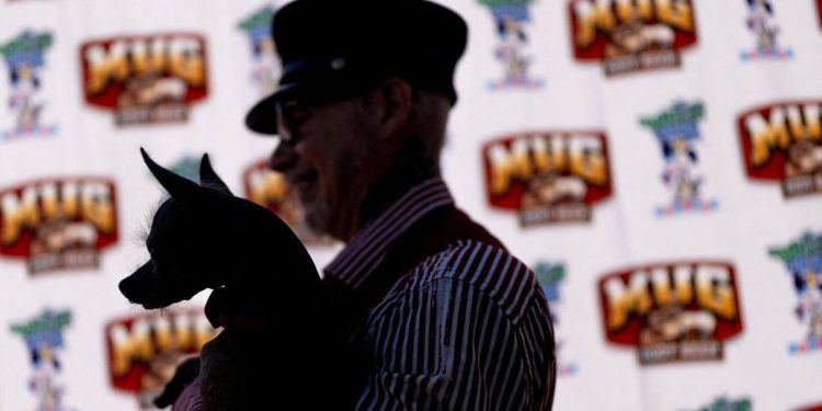 Kontes Anjing Terjelek, Merayakan Ketidaksempurnaan dan Keunikan