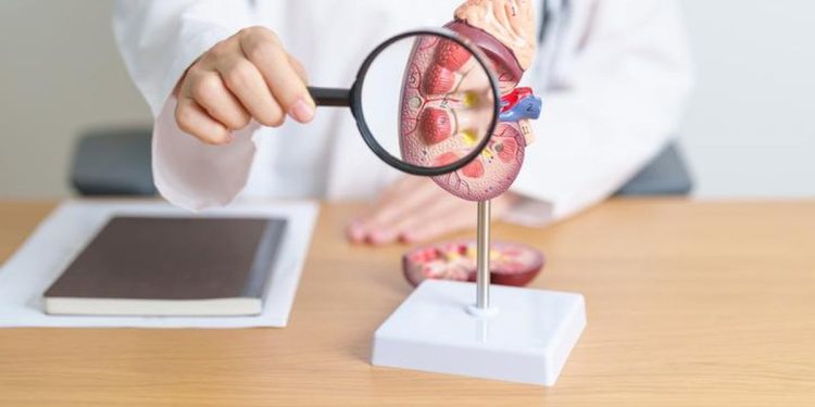 5 Resep Air Rebusan untuk Menjaga Fungsi Ginjal dan Mencegah Penyakit