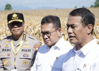 Kasus Beras Oplosan Menguntungkan Penggilingan Kecil