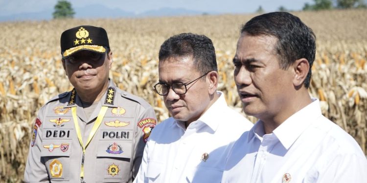 Kasus Beras Oplosan Menguntungkan Penggilingan Kecil