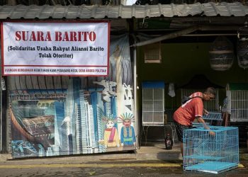 Tunggu Surat Resmi Pedagang Hewan Barito Memilih untuk Bertahan