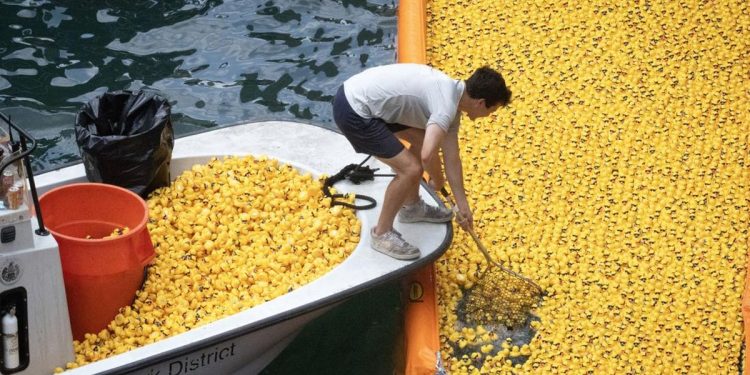 Puluhan Ribu Bebek Karet Menyerbu Sungai Chicago AS