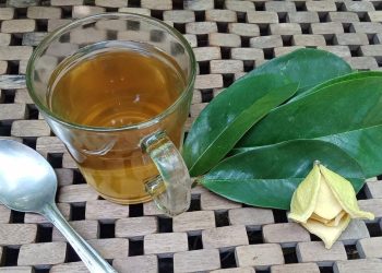 8 Manfaat Air Rebusan Daun Sirsak untuk Kesehatan Kulit dan Lainnya