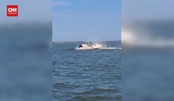 Saat-saat Paus Tewas Terlindas Kapal di New Jersey Amerika Serikat