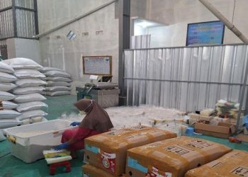 Petani Magelang Sukses Kembangkan Pertanian Digital