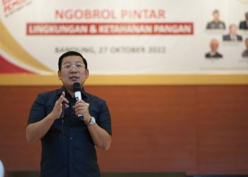 Bantuan Pangan Beras Bisa Dihentikan 2026, Berikut Alasannya