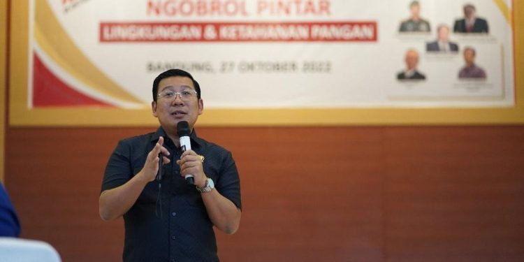 Bantuan Pangan Beras Bisa Dihentikan 2026, Berikut Alasannya