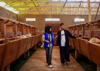 Setengah Juta Pengusaha UMKM Naik Kelas Melalui Penyaluran KUR