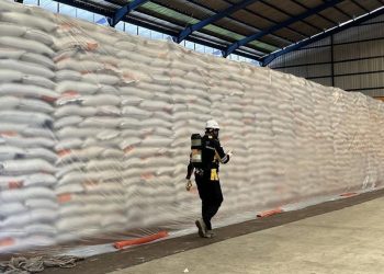 Perum Jamin Stok Beras Nasional Aman dan Berkualitas