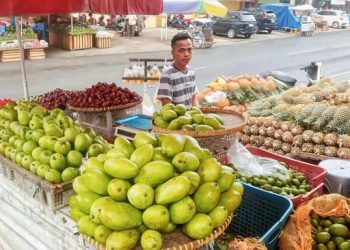 KUR BRI Membantu Pedagang Nanas Sukses Kembangkan Produk Olahan