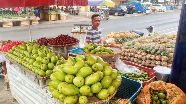 KUR BRI Membantu Pedagang Nanas Sukses Kembangkan Produk Olahan