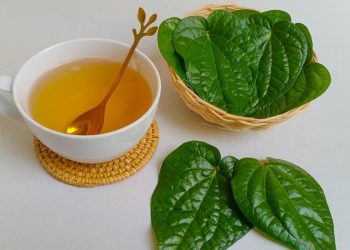 Manfaat Air Rebusan Daun Sirih untuk Multitasking Anda