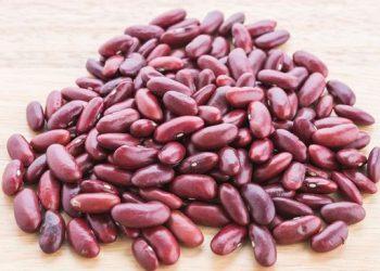 5 Manfaat Kacang Merah bagi Kesehatan Tubuh yang Perlu Diketahui