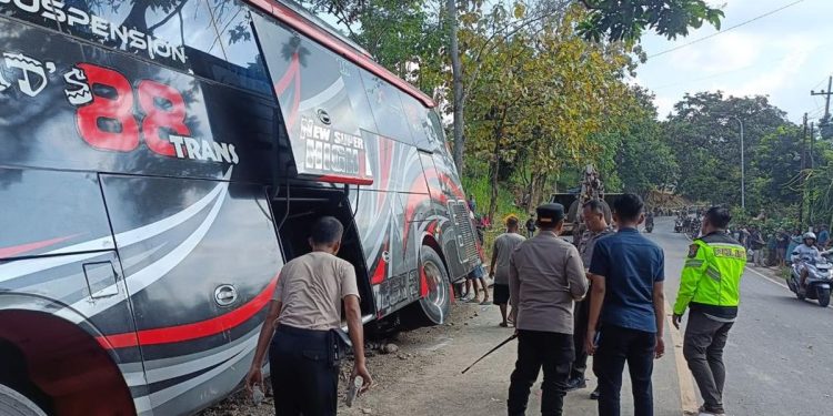 Kecelakaan Bus Nakes di Bromo, Pentingnya Menggunakan Seat Belt