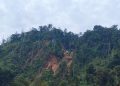 321 Hektare Tambang Ilegal Berhasil Dikembalikan ke Negara
