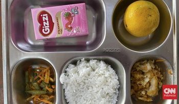 Mahal dan Risiko Intoleransi, Apakah Susu Masih Perlu Ada di Menu MBG?
