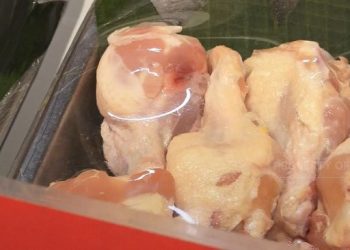 Diskon 50%+20% untuk Ayam Boiler di Transmart untuk Bunda!
