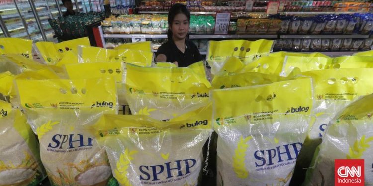 Kualitas Beras SPHP Bulog Sering Dikeluhkan Menurut Ombudsman
