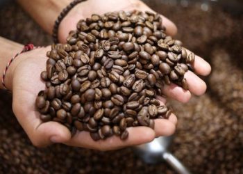 Waktu Terbaik Minum Kopi Agar Sehat dan Panjang Umur, Perhatikan Ini!
