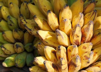 8 Makanan Tinggi Serat untuk Pencernaan Sehat dan Menurunkan Berat Badan