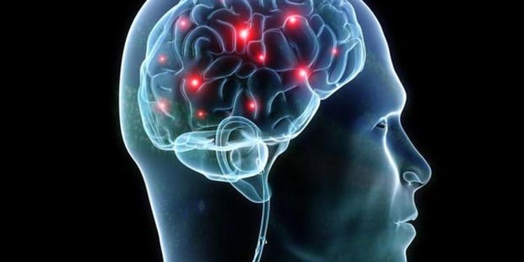 5 Strategi Menjaga Kesehatan Otak agar Tetap Tajam dan Aktif