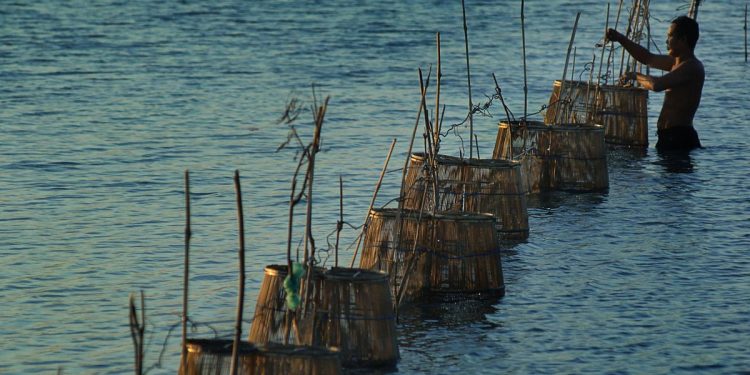 Udang RI Kini Dapat Masuk AS Setelah Dilarang Karena Isu Radioaktif