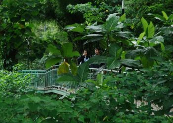 Hutan Babakan Siliwangi Bandung Tutup Selama 90 Hari, Jangan Datang Dulu