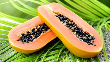 Makanan yang Tidak Boleh Disantap Bersamaan dengan Pepaya