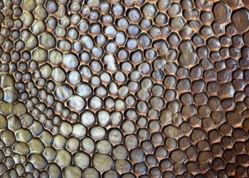 Bisa Dipicu Film Abadi Nan Jaya, Apa Itu Trypophobia?