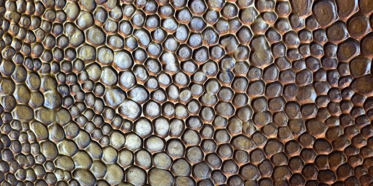 Bisa Dipicu Film Abadi Nan Jaya, Apa Itu Trypophobia?
