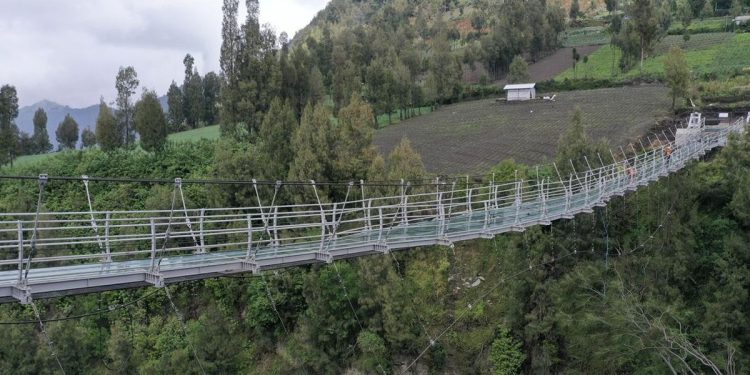 Penyebab Jembatan Kaca Seruni Point di Bromo Belum Dibuka