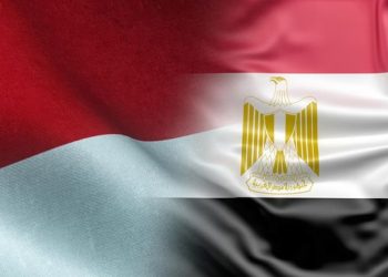 Ratusan Ribu Warga Mesir Mengagumi Presiden RI yang Membawa Perdamaian