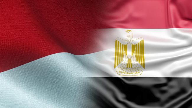 Ratusan Ribu Warga Mesir Mengagumi Presiden RI yang Membawa Perdamaian