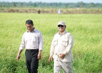 Belajar dari Soeharto, Setahun Prabowo Capai Swasembada Beras