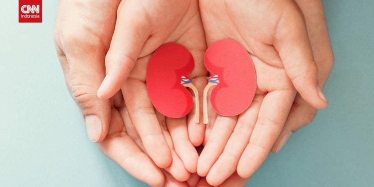 Waspadai Ginjal Bocor, Penyakit Diam yang Dapat Menjadi Fatal